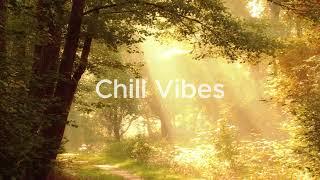 Lia Rae | Chill Vibes [Official Video]