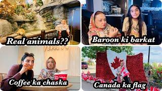 Real animals in store | Ammi ko lagaya coffee ka chaska | Ghar main baroon ki barkat | Canadian flag