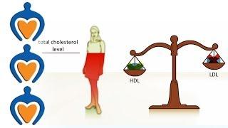 Cholesterol - what is it and how can you prevent high cholesterol?