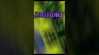 Quetta vs Jaghori #short #video