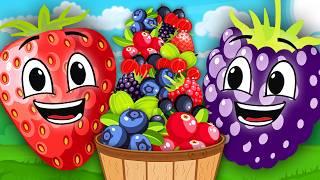 Learn ALL About Berries That Grow On Bushes! | Basic Learning Songs For Kids | KLT