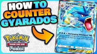 These are the BEST DECKS to beat Gyarados EX!!! | Pokemon TCG Pocket