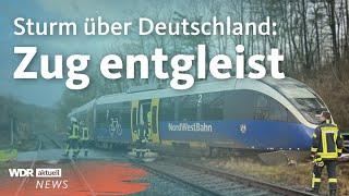 Sturm "Jitka": Zug in NRW fährt gegen umgestürzten Baum | WDR aktuell
