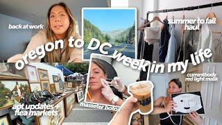 weekly vlog: visiting home, back to office, masseter botox, finally decorating my apartment