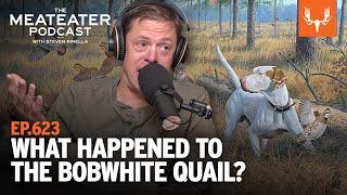 What Happened to the Bobwhite Quail | The MeatEater Podcast