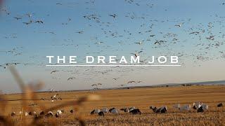 Big Flocks of Snows and Mallards! Afternoon Limits. | The Dream Job Season 4 Episode 8