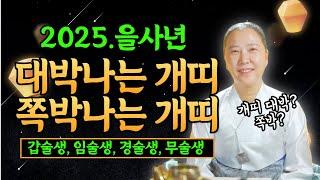 2025년 을사년 개띠운세 "대박나는 개띠 vs 쪽박나는 개띠" [갑술생, 임술생, 경술생, 무술생] [양주용한점집]