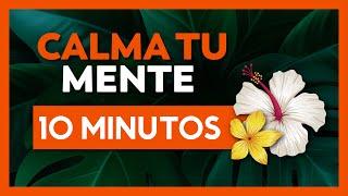 MEDITACIÓN GUIADA (10 Minutos) Mindfulness de Sanación para la Mente