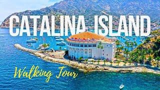 ‍️Discovering CATALINA ISLNAD ️ A scenic walking tour of Avalon, California