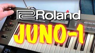 The Roland Alpha Juno-1 Analog Synthesizer - 3 Old Tech Dudes