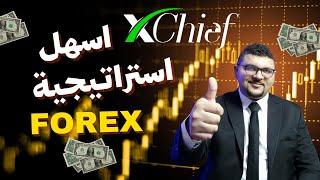 اسهل استراتيجية هتكسب منها فلوس من سوق الفوركس مع شركه xChief