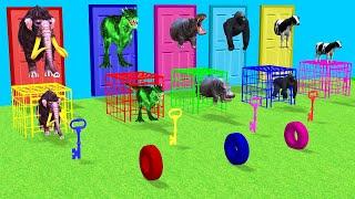 Choose The Right Key with Gorilla Cow Mammoth Elephant Dinosaur Animal Crossing Door Game