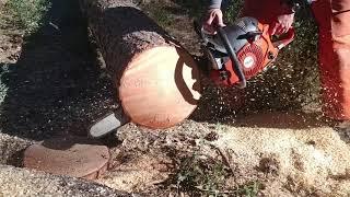 Stihl 461 vs Husqvarna 372 vs Dolmar 7910 vs Makita 7900 chainsaw