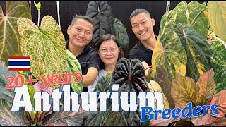 Anthurium Master Breeder   | The Most  Colorful Anthurium Foliage + Meet The Night Dragon!