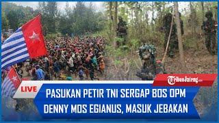 PASUKAN PETIR TNI Sergap Bos OPM Denny Mos Egianus, Masuk Jebakan, 2 Mayor dan 7 Markas Ditaklukkan