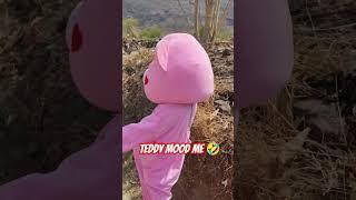 Enjoy Teddy  #comedy #funny #teddy