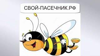 ПОЛЬЗА МЕДА ДЛЯ ОРГАНИЗМА #ПользаМёда