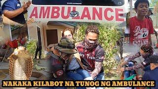 NAKAKAKILBOT NA TUNOG NG AMBULANCE DAHIL SA COBRA #cobraprince #tolcobra #cobraking #cobrateam