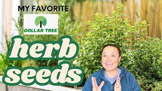 HERBS, HERBS AND MORE HERBS!!! My Favorite Herb Seeds For Any Garden | The Southern Daisy