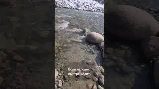 Психологические секреты о людях!