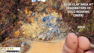 Placer Gold Deposit Runs Near This Rich Blue Clay Deposit!