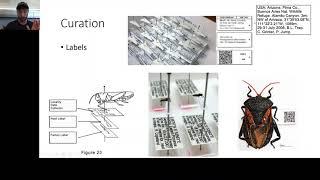 Video 13 - How to Build an Insect Collection