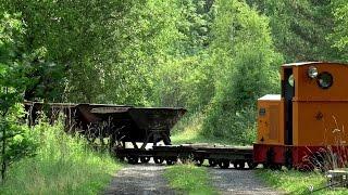 Eichenberger Waldbahn - Arbeitssonntag Juli 2015