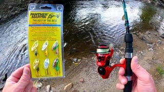 *Which Color Works Best* Trout Fishing with Panther Martin 6 pack