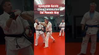 Kyokushin Karate Brutal Elbow Combination #kyokushin #karate #short #shorts #training #osu