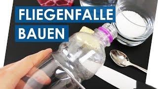 Beste Fliegenfalle selber bauen | Fruchtfliegen beseitigen mit Hausmitteln