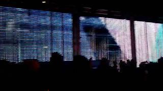 igloofest in the crowd