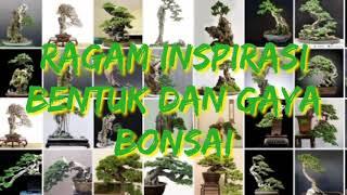 RAGAM INSPIRASI BENTUK DAN GAYA BONSAI