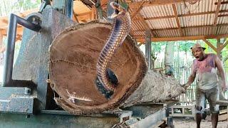 unexpected when sawing teak wood at the sawmill || sawing wooden blocks