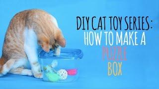 DIY Cat Toys - How to Make a Puzzle Box