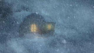 Ideal Snowstorm Sounds For Sleep, Reduce Stress | Blizzard at a Frozen Wooden House | Howling Wind