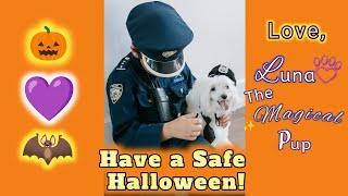 Have a Safe Halloween!  #kidstube #halloweenkid