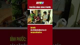 Bình Phước: Bóc gỡ thêm một đường dây m.a t.ú.y xuyên quốc gia #shorts  | BPTV