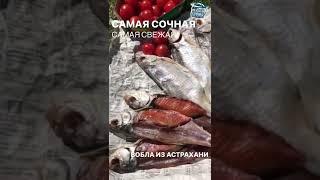 Самая вкусная Астраханская вяленая вобла только у нас!