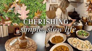 Cherishing simple, slow life | Rainy October days in the English Countryside Somerset vlog UK