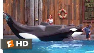 Free Willy (1993) - Willy's Performance Scene (6/10) | Movieclips