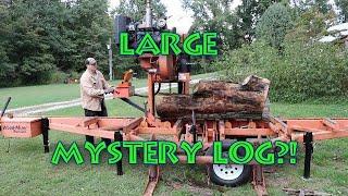 SAWING THE MYSTERY LOG - WOOD-MIZER SLABS AND LUMBER