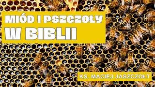 Co Biblia mówi o pszczołach i miodzie? - Jaskinia Słowa - ks. Maciej Jaszczołt