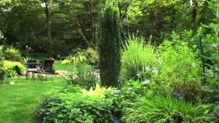 Summer Garden Tour-Behind the scenes of Growing Wisdom and our backyard set