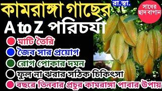 কামরাঙ্গা গাছের A to Z পরিচর্যা। ফুল না ঝরার এবং বছরের তিনবার প্রচুর ফল পাবার গোপন টিপস। #Star Fruit