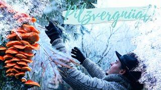 Entspannungsvideo - die Magie des Waldes  Begleite mich durch ein eisiges Winterwunderland!  