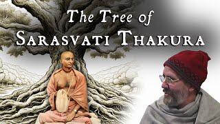 The Tree of Sarasvatī Ṭhākura – Swami B.G. Narasingha Maharaja