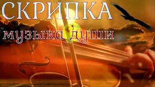 Скрипка  красивая музыка души.The violin is a very beautiful soul music