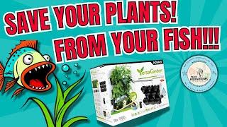 1st Ever Freshwater Refugium? Aquael’s Versa Garden Hydroponics Unveiled  Setup & Secret Discount!