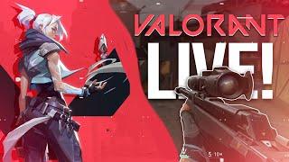 Semi-Pro Valorant Player LIVE RIGHT NOW! - Z4P - GG BR