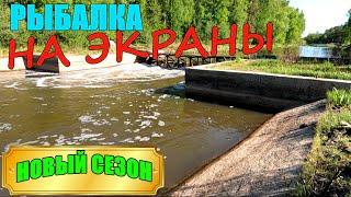 Рыбалка на экраны открыта!!! Новый сезон. Сколько рыбы словим?